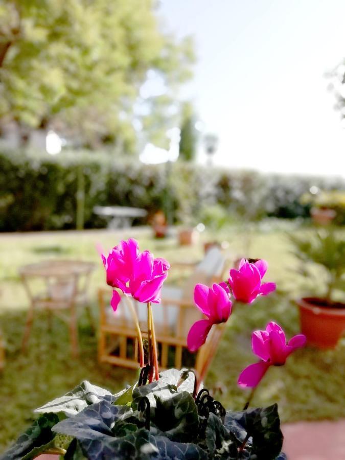 La Casetta มอร์โตลา อินเฟริโอเร ภายนอก รูปภาพ